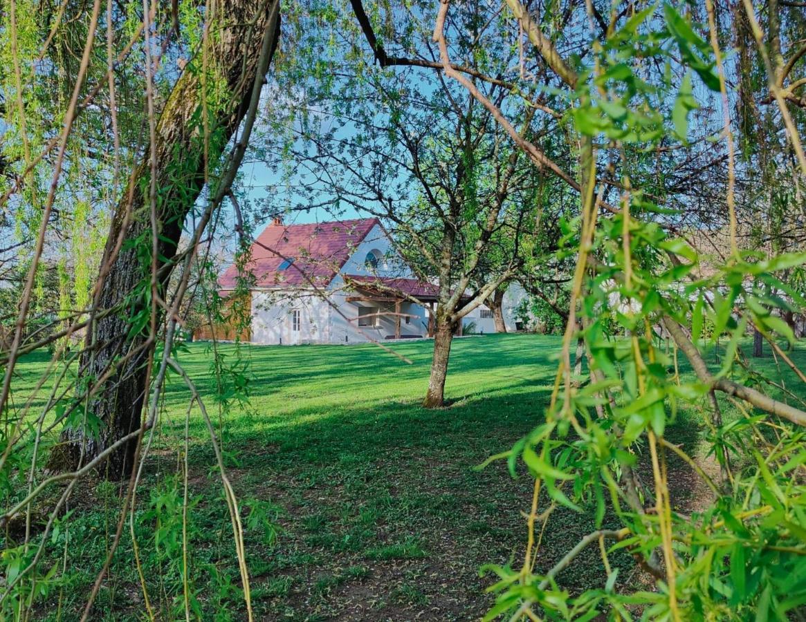 Domaine Saint Loup - 10Min Beaune ภายนอก รูปภาพ